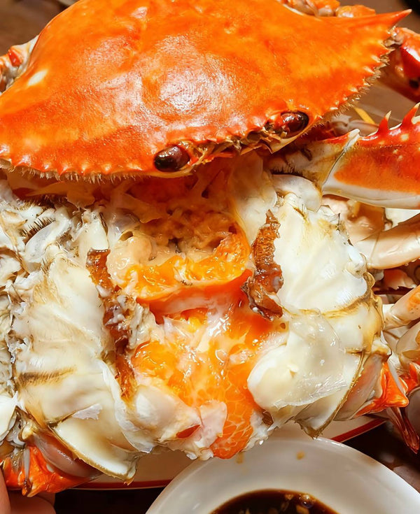 Jumbo Swimming Crab Bursting With Creamy Golden Roe